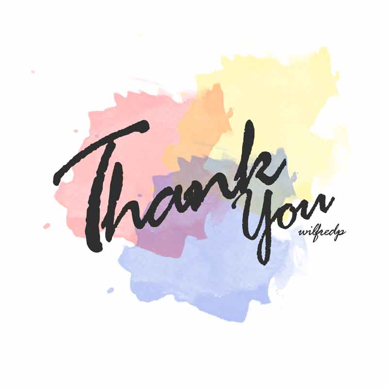 馬來西亞第14屆大選 :: WilfredP