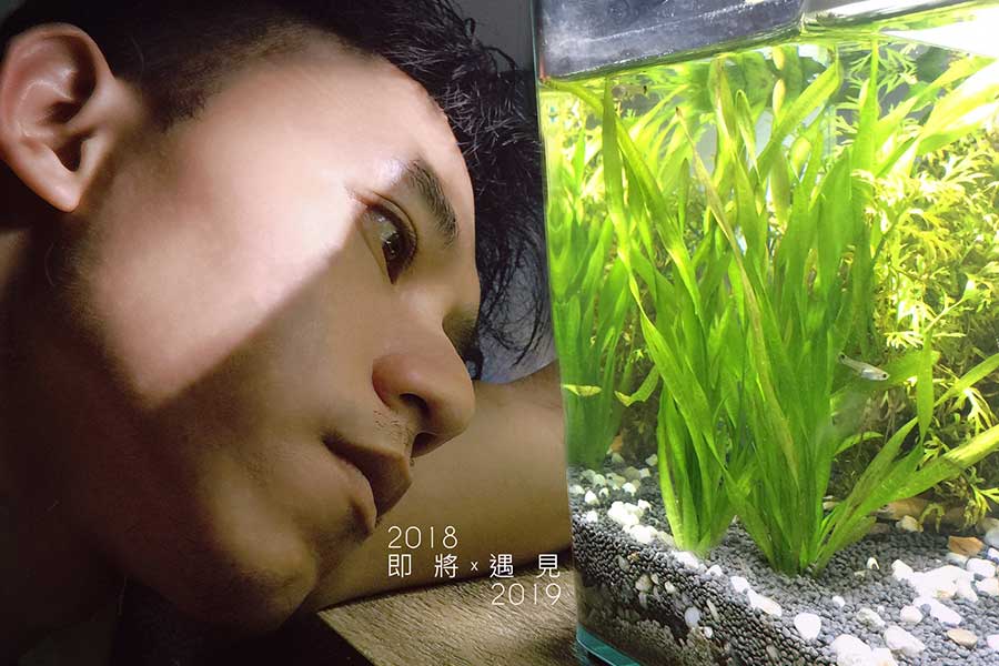 2018 遇見 2019 :: WilfredP