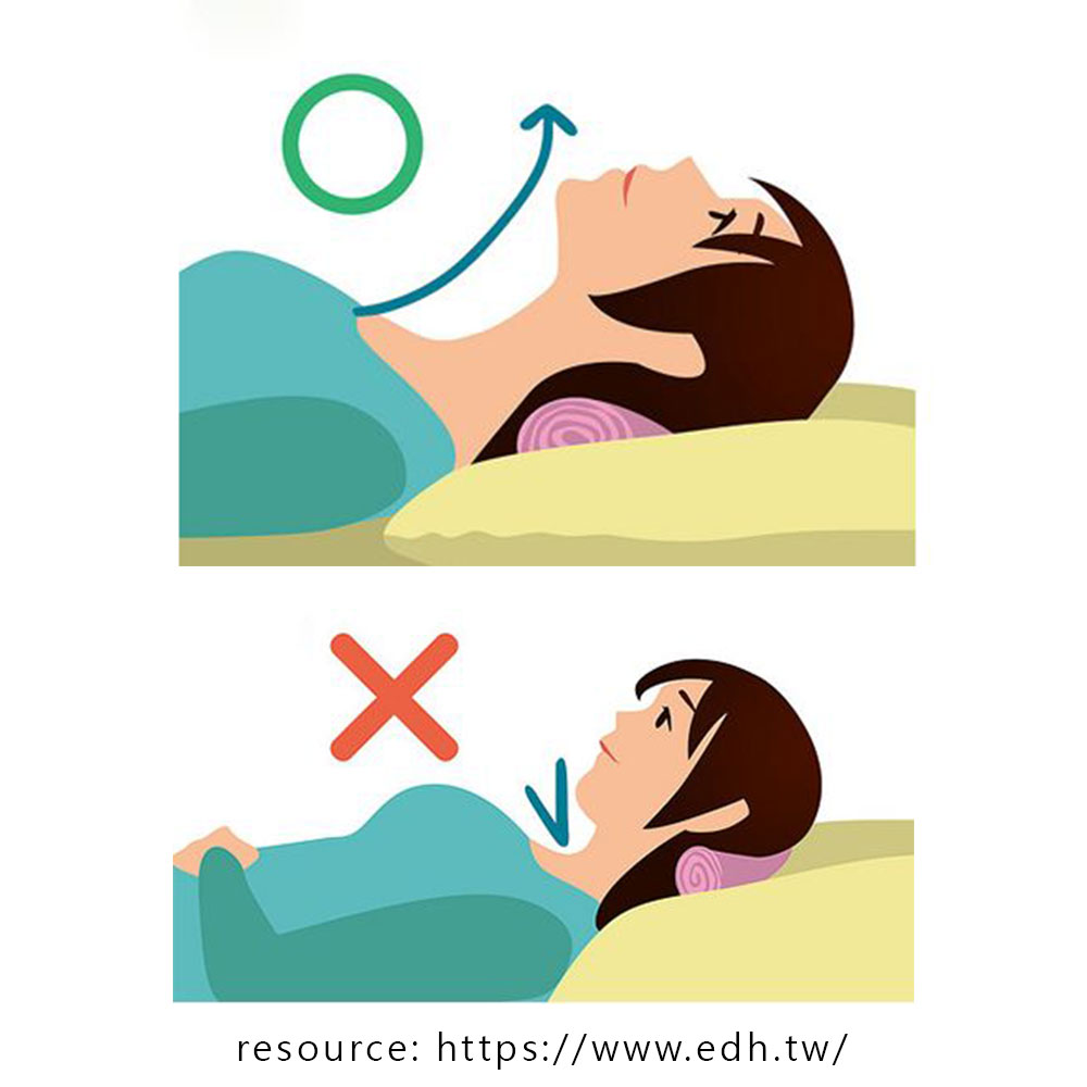 頸椎生理曲度(1) :: WilfredP